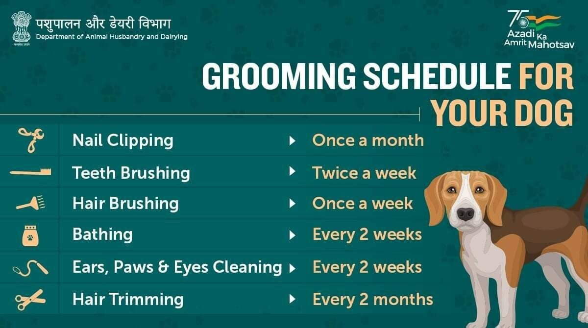 Koo by Dept of Animal Husbandry & Dairying, Min of FAH&D (@dept_of_ahd):  🧴🐾 Here's a handy ✓ checklist of all the groomin