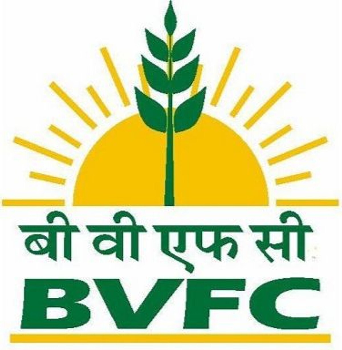 BVFCL photo