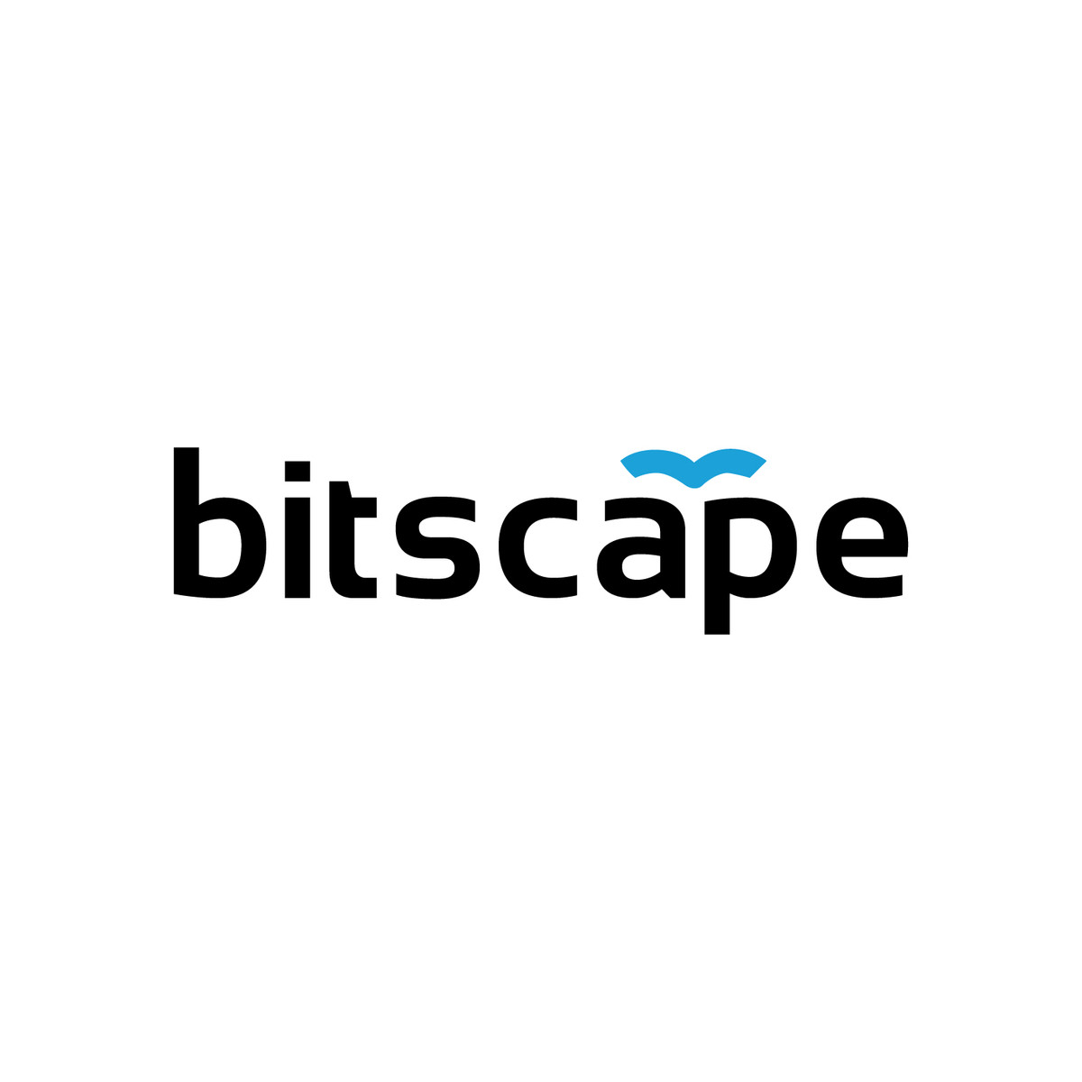 bitscape photo