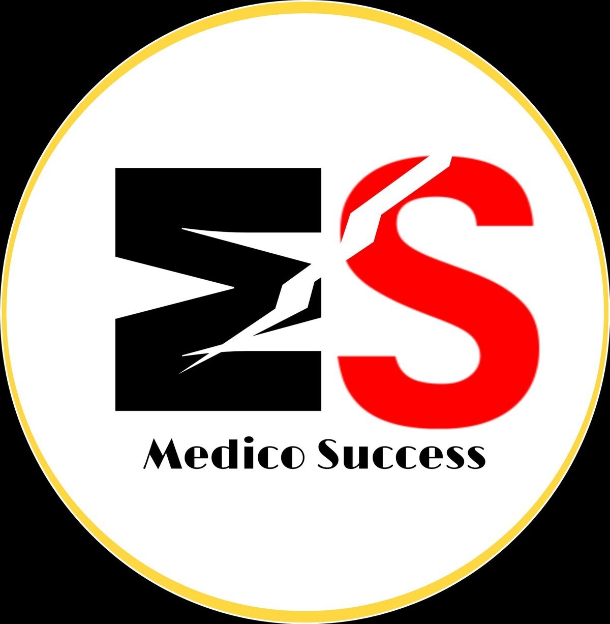 MS Medico Success photo