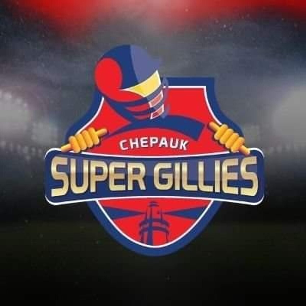 Chepauk Super Gillies photo
